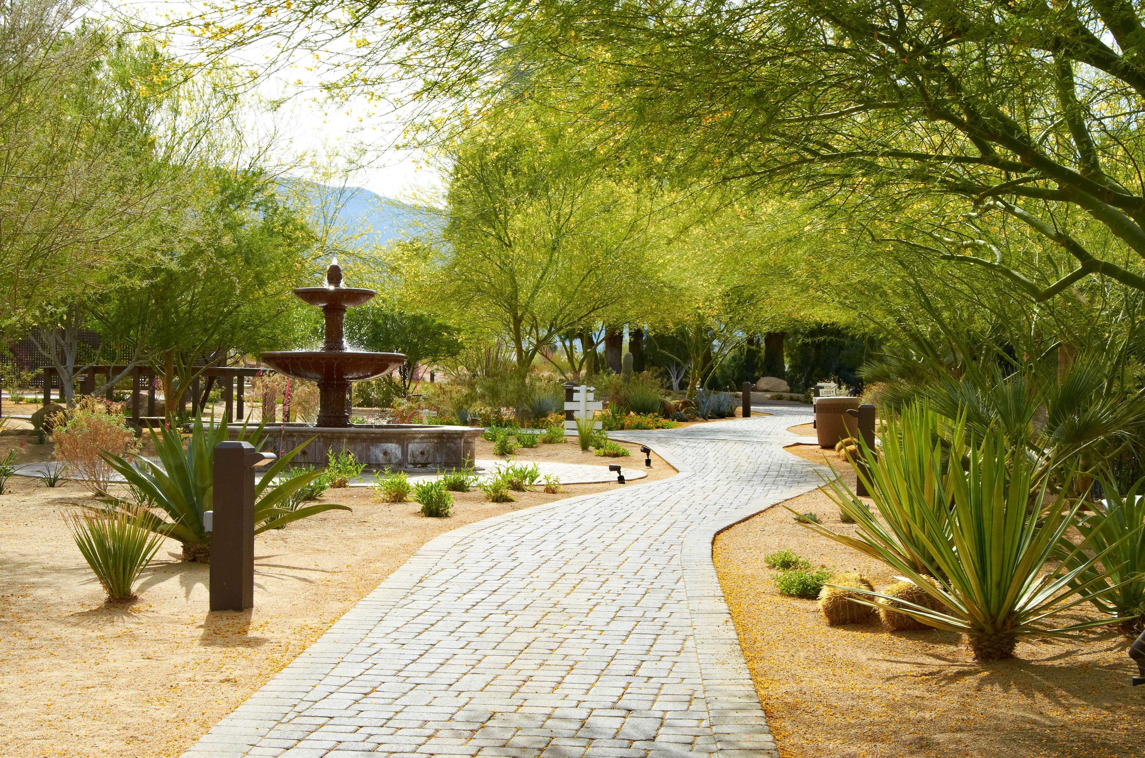 La Casa del Zorro Borrego Springs Exterior foto